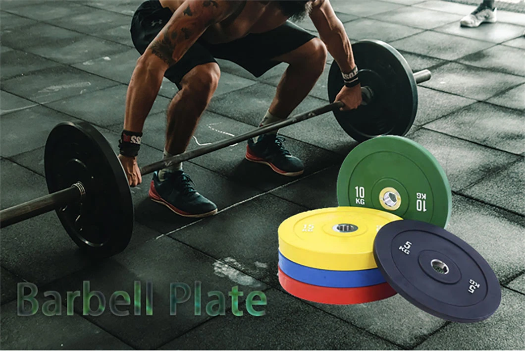 Premium Recycled PVC Rubber Bumper Plates Barbell Weight Plate Fitness Sports Equipment Rack Accessories